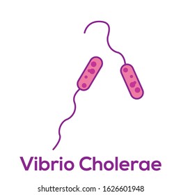 simple illustration of vibrio cholerae bacteria, Microorganism illustration