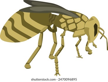 A simple illustration of a Wasp