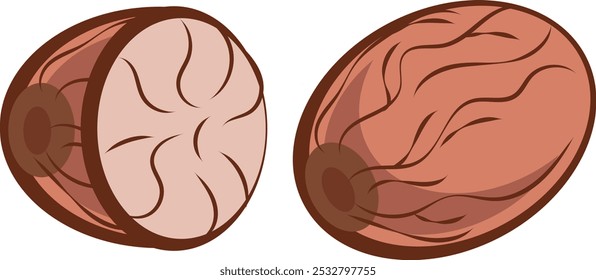 ilustração simples de noz-moscada inteira e picada