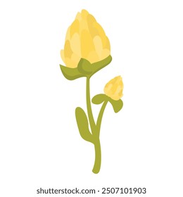 Simple illustration of a yellow clover flower blooming on a green stem with leaves
