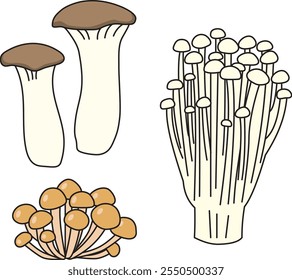Simple illustrations of eryngii, enoki, and nameko mushrooms. With outline.