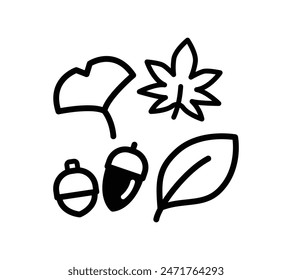 Simple illustrations of nuts and fallen leaves.