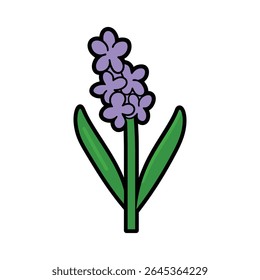 A simple, illustrative image showing two purple grape hyacinth flowers, complete with green leaves, isolated on a stark white background, clean lines.