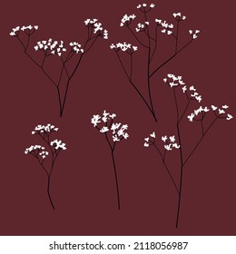 Imagen simple de ramas de gypsophila para tus ramos