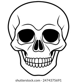 simple image of a human skull