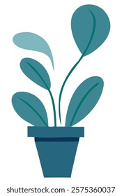 simple image of a plant in a pot