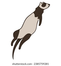 Simple image of sleeping animal. Ferret vector illustration. Simple design element. Design of menu posters banners stationery clothing childrens products.