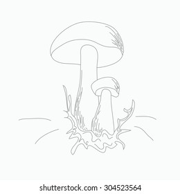 A simple image of two mushrooms on the grass. Vector illustration.