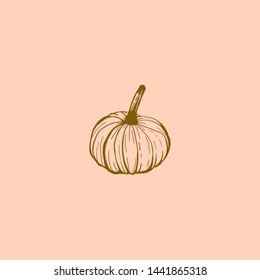 Simple ink sketch of pumpkin on pink background. Hand-drawn vector illustration.