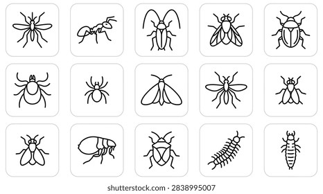 Simple insect and bug line art icon collection.