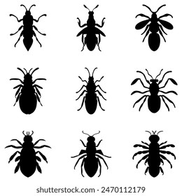 Simple insect illustration design set
