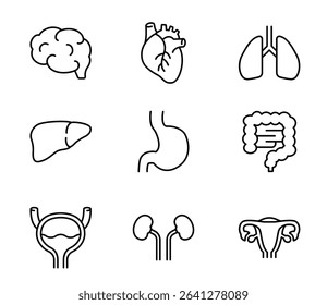 Simple internal organs icon illustration set vector