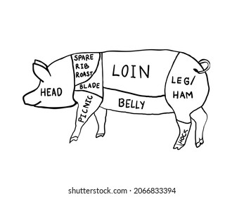 simple isolated black and white color childish hand drawn lines doodle of cut pork for food with the name of pig part element for wallpaper, background, cover, food diagrams etc. vector design.