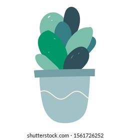 Simple isolated illustration of potted succulent green flower houseplant.