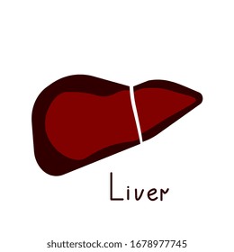 Simple isolated liver vector icon