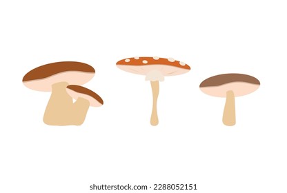 Simple isolated mushrooms on a white background. A set of mushrooms with toadstool, porcini mushroom and ordinary.  
Vector illustration of autumn elements. 10 EPS
