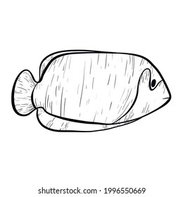 Simple isolated vector doodle illustration. Line art striped sea or river fish with fins and tail. Underwater life sticker with black outline. Marine life design element.