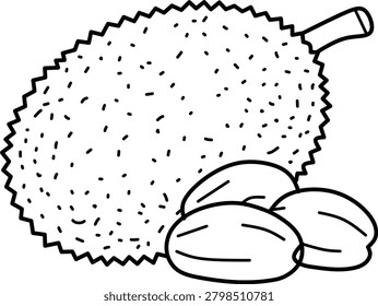 Simple jackfruit fruit line art vector illustration featuring whole and cut jackfruit. Perfect for coloring books, educational materials, tropical fruit themes, and printable projects.