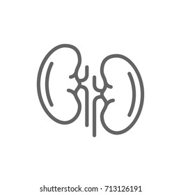 Simple kidneys line icon. Symbol and sign vector illustration design. Editable Stroke. Isolated on white background