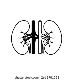 Simple kidneys outline vector icon, a minimalist line art drawing of human organs for urology and healthcare concepts.