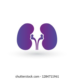 Simple kidneys purple gradient icon. Symbol and sign vector illustration Isolated on white background.