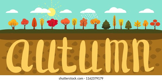 Simple landscape Set of autumn trees, different types, lettering, modern trend design, cute style, vector, illustration, isolated