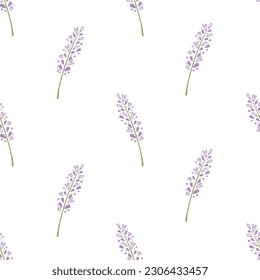 diseño de patrón sencillo de flor de lavanda sin soldadura, vector de fondo de lavanda dibujado a mano