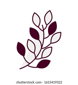 simple leaf desing isolated icon, vector illustration