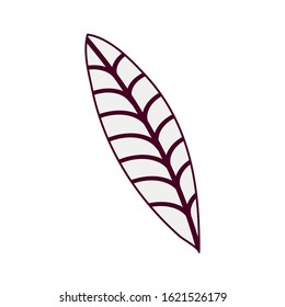 simple leaf desing isolated icon, vector illustration