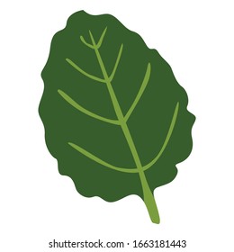 Simple Leaf Green Vector.