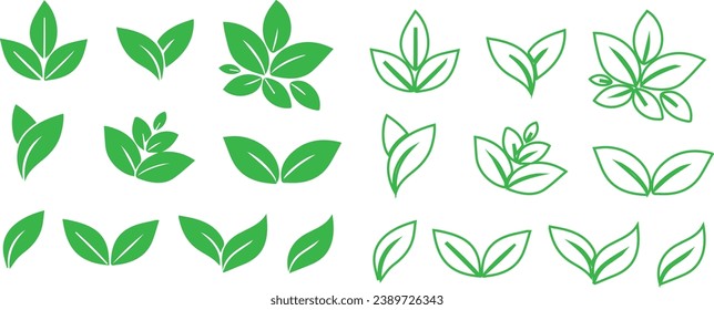 Simple leaf green vectors and symbols and biography 