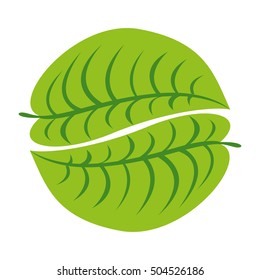 simple leaf icon image 