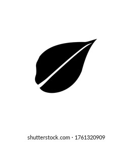 simple leaf icon image. transparent background