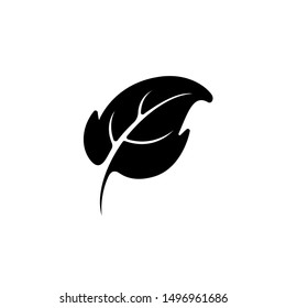 Simple Leaf Icon Isolated on White Background. Graphic element for natural, organic, bio, eco label and logo. Vector illustration.