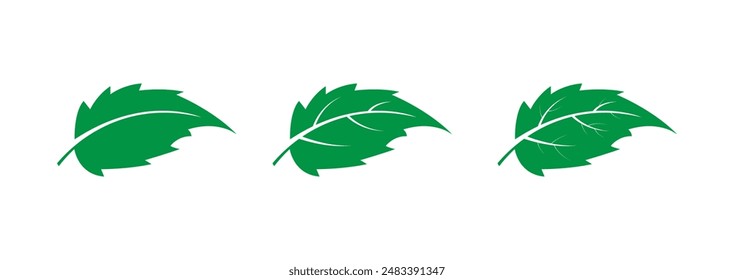 Simple leaf icon, leaf logo vector illustration.