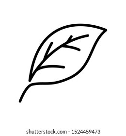 Simple Leaf Icon Vector Design Template
