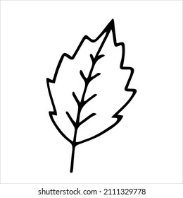 Simple leaf icon. Vector illustration isolated on white.