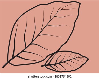 Simple leaf illustration design picture
