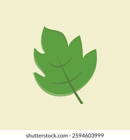 Simple Leaf Illustration in Flat Design 