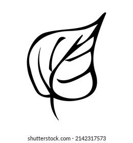 Ilustración simple de hoja aislada en fondo blanco. Clíparte vector dibujada a mano. Doodle botánico para impresión, web, diseño, decoración, logotipo.