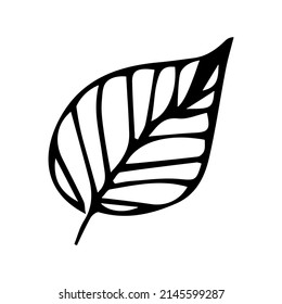 Ilustración simple de hoja aislada en fondo blanco. Clíparte vector dibujada a mano. Doodle botánico para impresión, web, diseño, decoración, logotipo.