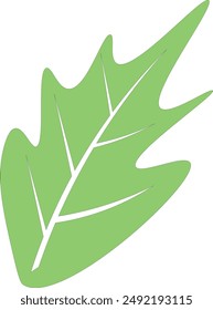 ilustración de hoja simple sobre un fondo blanco