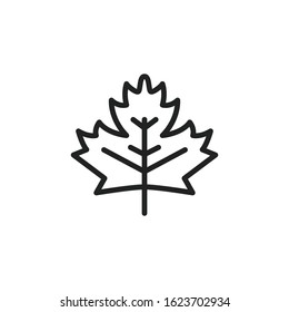 Simple leaf line icon. Stroke pictogram. Vector illustration isolated on a white background. Premium quality symbol. Vector sign for mobile app and web sites.