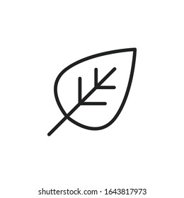 Simple leaf line icon. Stroke pictogram. Vector illustration isolated on a white background. Premium quality symbol. Vector sign for mobile app and web sites.