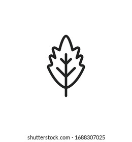 Simple leaf line icon. Stroke pictogram. Vector illustration isolated on a white background. Premium quality symbol. Vector sign for mobile app and web sites.