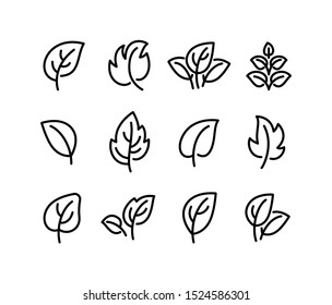 Simple leaf line icons, symbols, logo and graphic elements set isolated on white background. Vector template for natural, organic, bio, eco label and shape.