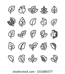 Iconos, símbolos, logotipo y elementos gráficos sencillos de la línea de hoja para la etiqueta y forma natural, orgánica, biológica, ecológica.