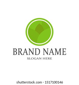 simple leaf logo design illustration