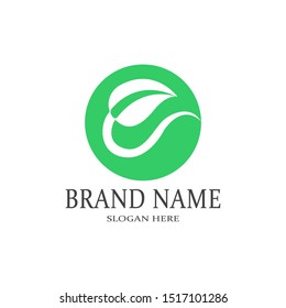 simple leaf logo design illustration