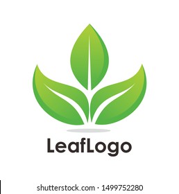 simple leaf logo design template 